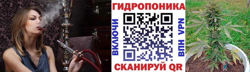 Каннабис SATIVA & INDICA  где купить наркотик  Урень 